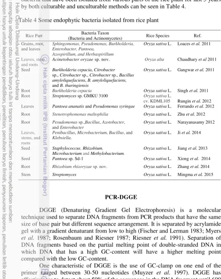 Table 4 Some endophytic bacteria isolated from rice plant 