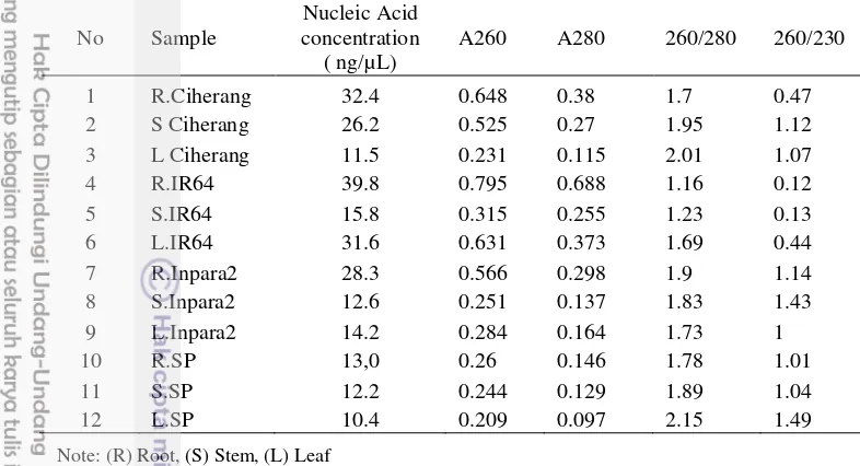 Table 8 The quantity and quality of DNA extracted from rice plant tissue 