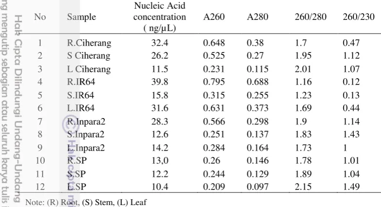 Table 8 The quantity and quality of DNA extracted from rice plant tissue 