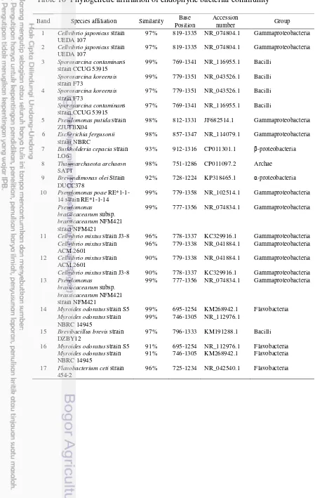 Table 10  Phylogenetic affiliation of endophytic bacterial community 