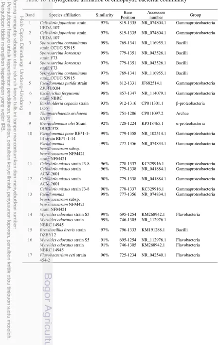 Table 10  Phylogenetic affiliation of endophytic bacterial community 