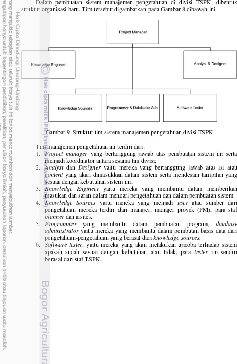 Gambar 9 Struktur tim sistem manajemen pengetahuan divisi TSPK