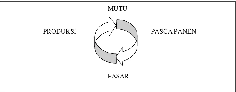 Gambar 1.  Siklus Mutu Hortikultura 