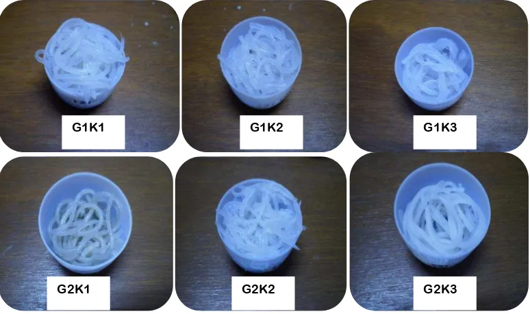 Gambar 4. Visualisasi sohun kering yang berasal dari variasi jenis pati ganyong dan konsentrasi penambahan NaHSO3 selama ekstraksi 