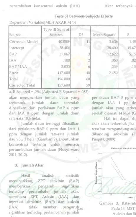 Gambar 3. Rata-rata jumlah akar 