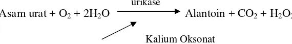 Gambar 2. Mekanisme Kerja Kalium Oksonat dalam Penghambatan Pembentukan Allantoin (Anonimb, 2006) 