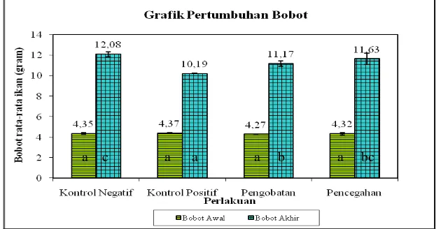 Grafik 1. Pertumbuhan bobot ikan lele dumbo (Clarias  Keterangan : Data (rerata ± stdev) pada waktu pengamatan yang sama dengan huruf yang berbeda sp.) selama pemeliharaan menunjukkan perbedaan hasil yang nyata (p < 0,05) 