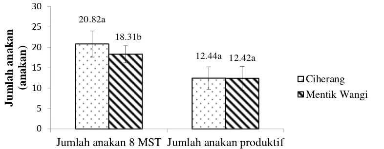 Gambar 2 Pengaruh varietas terhadap jumlah anakan pada saat tanaman berumur 8 MST dan jumlah anakan produktif  padi sawah 