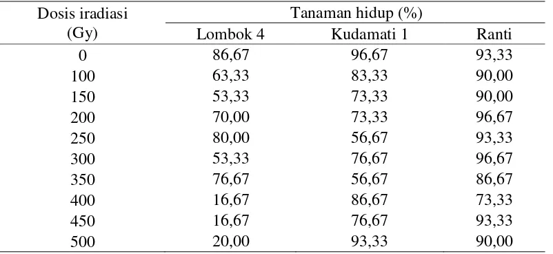 Tabel 2. Persentase tanaman hidup bibit tomat pada 3 MSS 