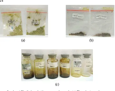 Gambar 4 Hasil ekstraksi keong matah merah: (a) Ekstrak air perebusan, (b)  Ekstrak  air  sonikasi,  (c)  Ekstrak  metanol,  aseton  dan n-heksana   