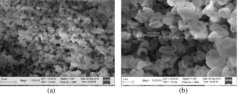 Gambar 4 Morfologi nano kitosan perbesaran (a) 1500 kali dan (b) 5000 kali 