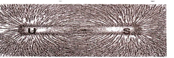 Gambar 9 : Garis gaya pada medan magnet 