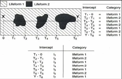 Gambar 2 Metode Pengambilan Data Line Intercept Transect (LIT) atau Transek Garis (English et al