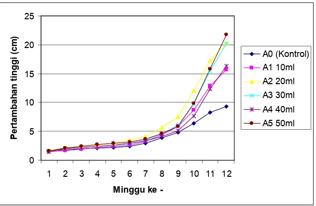 Gambar 4  Grafik rata – rata pertambahan tinggi semai Sengon  selama 12 minggu setelah tanam