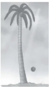 Gambar  3.5  Buah kelapa yang jatuh dari pohonnya 