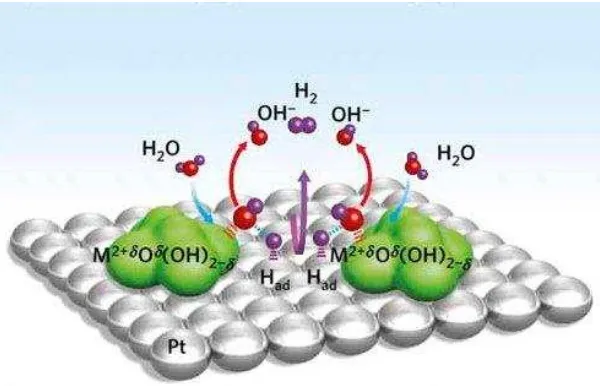 Gambar 1. Reaksi Evolusi Hidrogen (Subbaraman et all., 2012) 