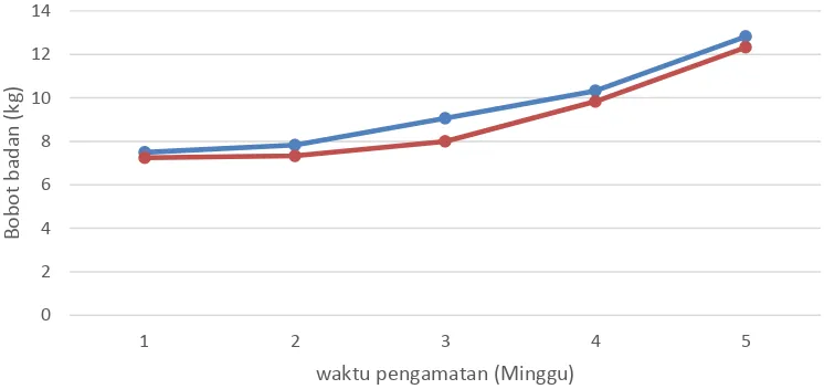 Gambar 3 Grafik pertumbuhan anak kambing peranakan etawah yang diberi ransum starter tinggi energi dan protein 