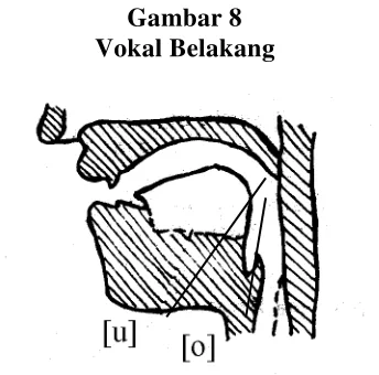 Gambar 7 Vokal Tengah 
