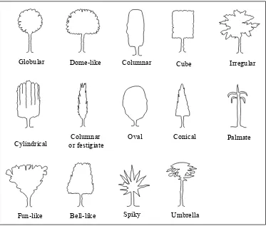 Gambar 2. Klasifikasi Pohon Menurut Bentuk 
