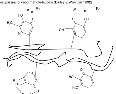 Gambar 2.6. Struktur Hidroksipiridone dan Piranone dari Melanoidin   sebagai 