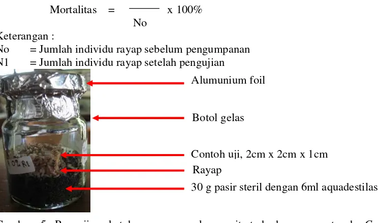 Gambar 5 Pengujian ketahanan papan komposit terhadap rayap tanah C. 