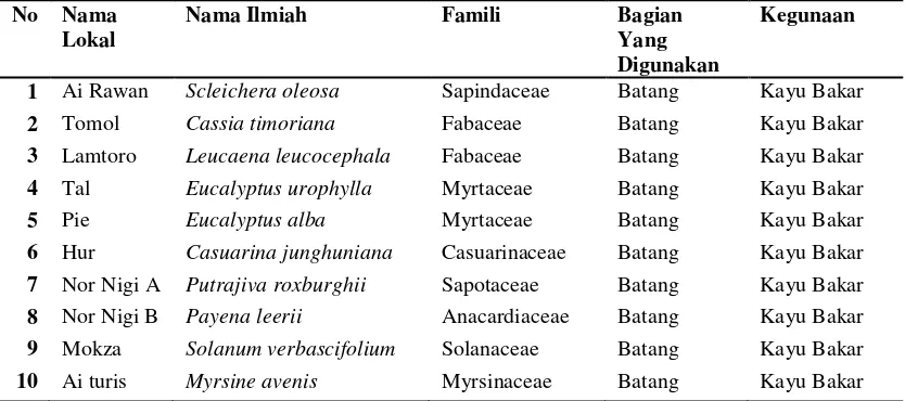Tabel 7  Beberapa spesies tumbuhan penghasil kayu bakar yang ada di Desa Dirun 