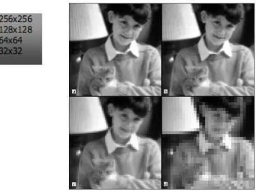 Gambar 2.9 diatas  memperlihatkan gambar suatu objek yang dicitrakan menggunakan beberapa kamera dengan tingkat kualitas resolusi yang berbeda