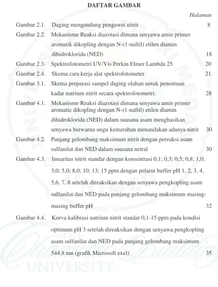 Gambar 2.1. Daging mengandung pengawet nitrit  