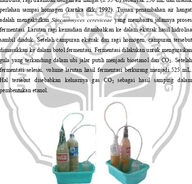 Gambar 4.2 Perubahan Warna pada Proses Sebelum dan Sesudah Fermentasi  