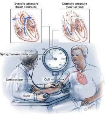 Gambar 2.1.  Pengukuran Tekanan Darah (Sumber: Lany Sustrani, dkk, 2005) 