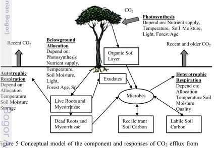 Figure 5 Conceptual model of the component and responses of CO2 efflux from soil. (Sources: Ryan & Law 2005) 