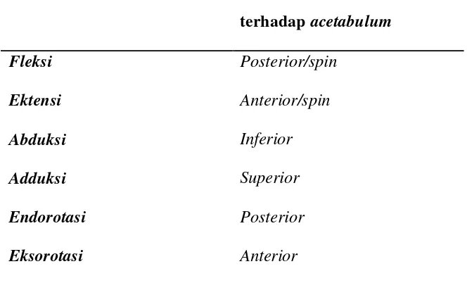 Tabel 2.2 Hubungan gerak angular dengan artrhokinematika caput femur 