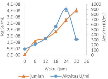Gambar 5 Kurva hubungan antara jumlah sel  B. halodurans CM1 dan aktivitas xilanase pada 50 oC pH 9 selama waktu inkubasi  