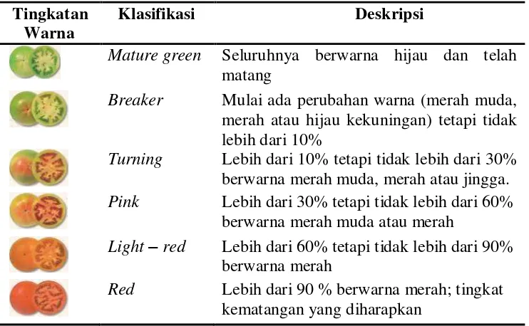 Tabel 2  Klasifikasi tahapan kematangan tomat 
