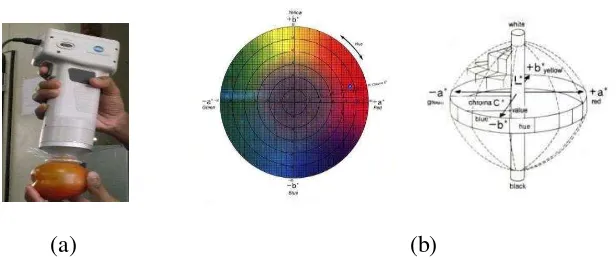 Gambar 4  a) Chromameter dan b) Sistem notasi warna Hunter 