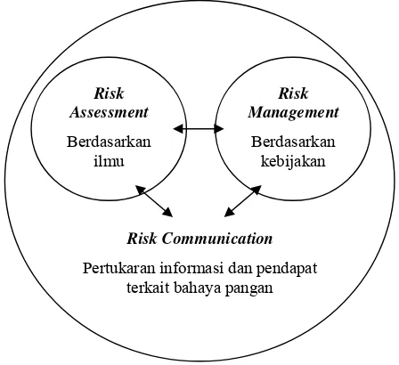 Gambar 6. Hubungan antara komponen dalam risk analysis                    (WHO 1998) 