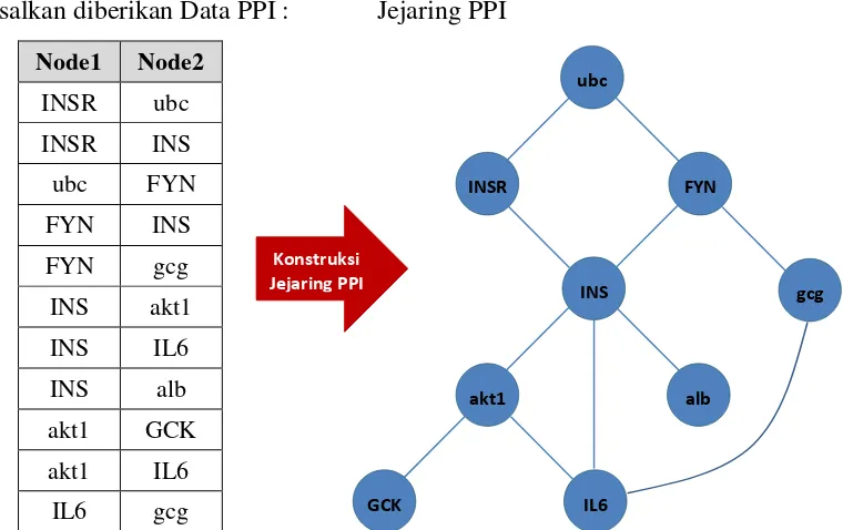 Gambar 5. Ilustrasi konstruksi jejaring PPI dari data PPI yang diperoleh dari basis data STRING  