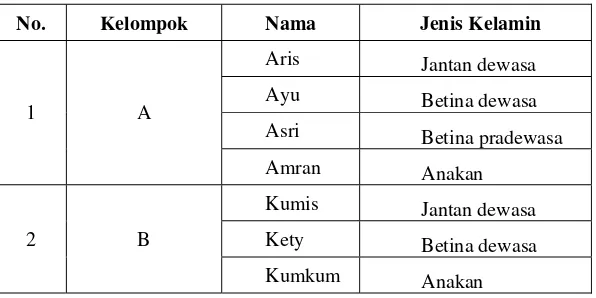 Tabel 1. Ukuran kelompok Owa Jawa yang diamati 