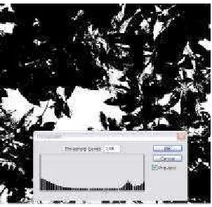 Gambar 6. Thresholding citra grayscale tutupan tajuk vegetasi menggunakan adobe photoshop 8.0 