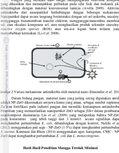 Gambar 2 Variasi mekanisme antimikroba oleh material nano (Emamifar  