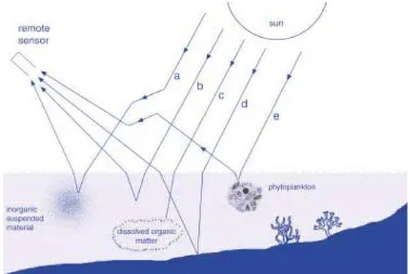 Gambar 2. Faktor yang mempengaruhi pantulan  sinar yang diterima oleh satelit (IOCCG, 2000)