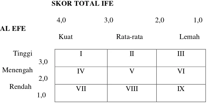 Gambar 5. Matriks Internal Eksternal (IE Matriks) 