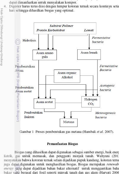 Gambar 1  Proses pembentukan gas metana (Hambali et al. 2007). 