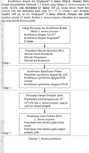 Gambar 3. Skema penelitian 