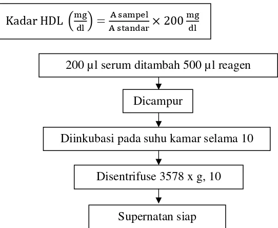 Gambar 5. Prosedur Persiapan Sampel Analisis Kadar HDL. 
