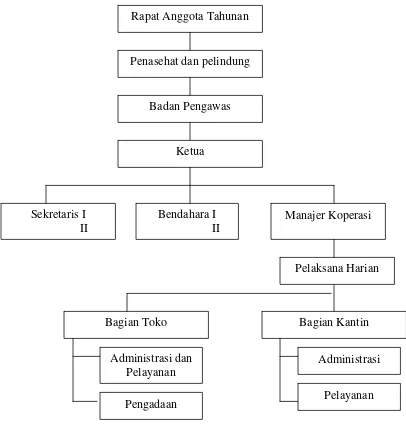 Gambar 4.1 : Struktur Organisasi Koperasi Karyawan RS. Telogorejo 