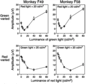 Fig. 4measurements and 40 cd/msensitivity ratio of about 0.5:1. The relative sensitivity to the red light was thus about half that of normal monkeys and twice that of the protanopic monkeys, which is consistent with the notion that female protan heterozygo