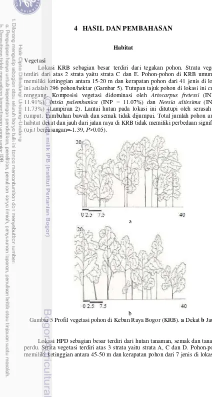 Gambar 5 Profil vegetasi pohon di Kebun Raya Bogor (KRB). a Dekat b Jauh 