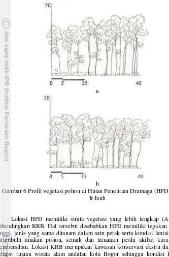 Gambar 6 Profil vegetasi pohon di Hutan Penelitian Dramaga (HPD). a Dekat  