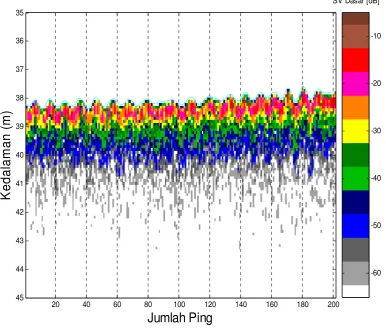 Gambar 8. Contoh tampilan echogram Pasir 
